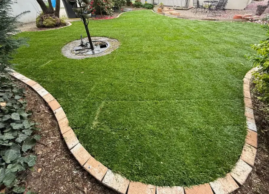 Fertig angelegter Rasen mit Rasenkante und Terrasse