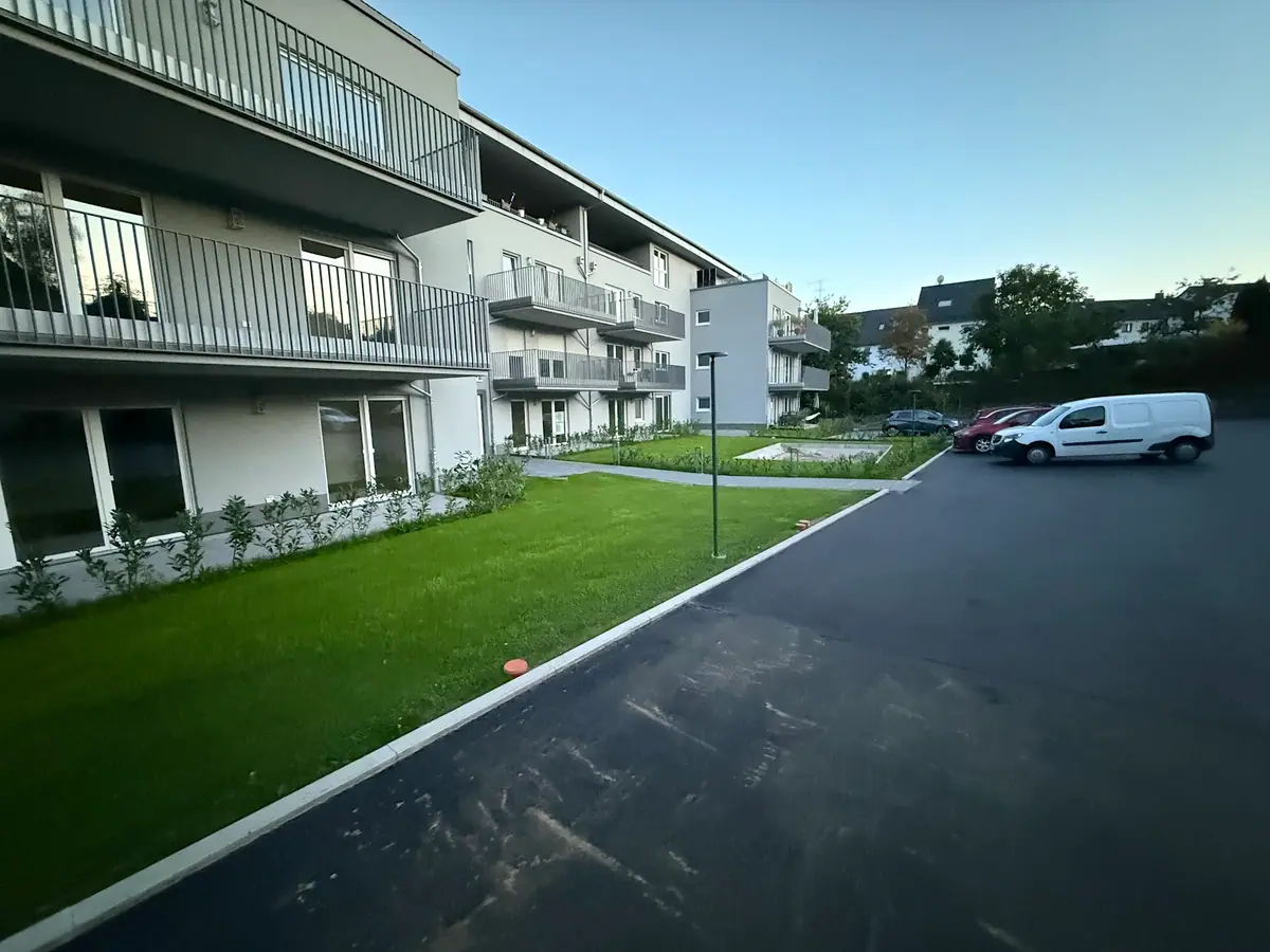 Fertig angelegte Außenanlage mit Rasen und gepflasterter Zufahrt